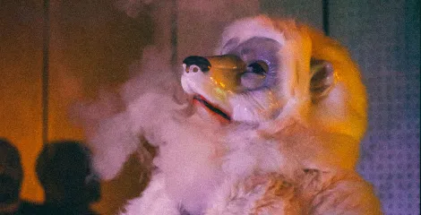 Curieux Transfo croise des bêtes sauvages