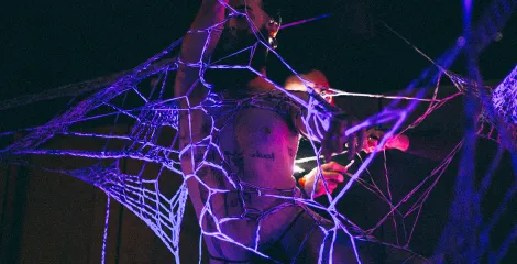 Curieux Transfo mène la danse