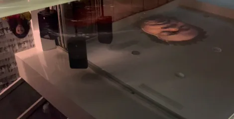 Sainte Marina | C'est un dur métier que l'exil