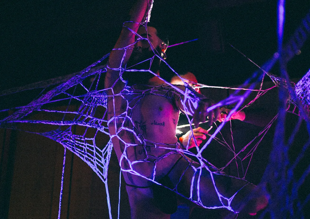 Curieux Transfo mène la danse