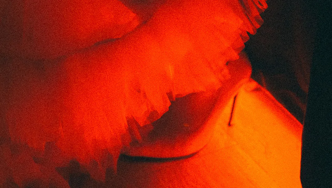 Curieux Transfo tombe en amours