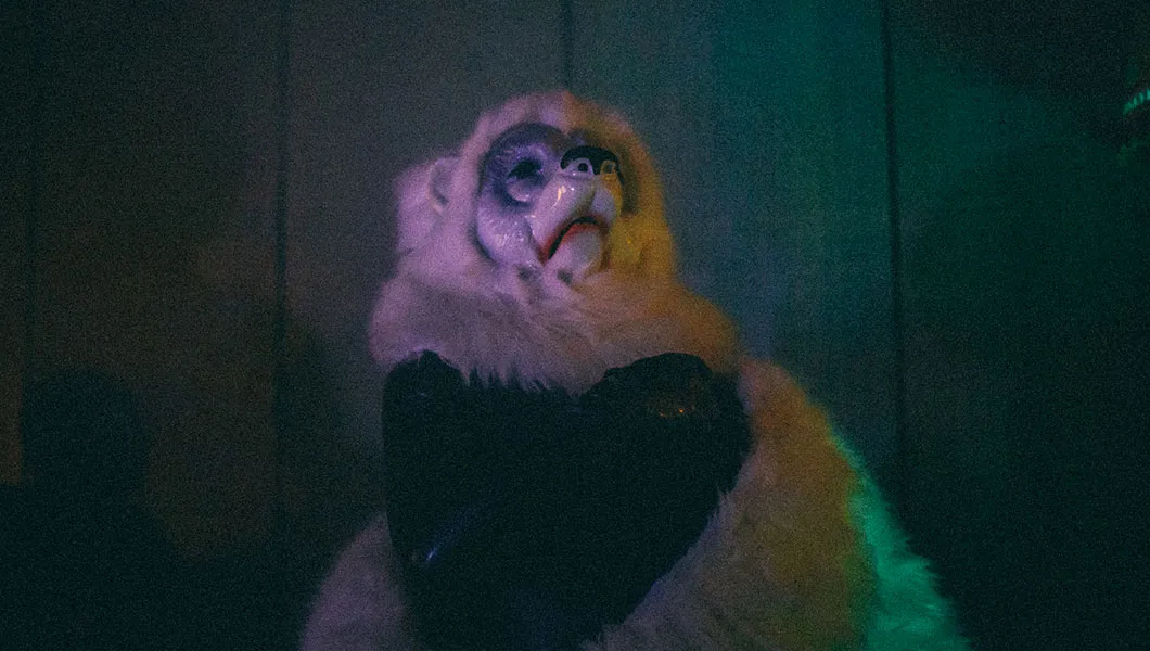 Curieux Transfo croise des bêtes sauvages