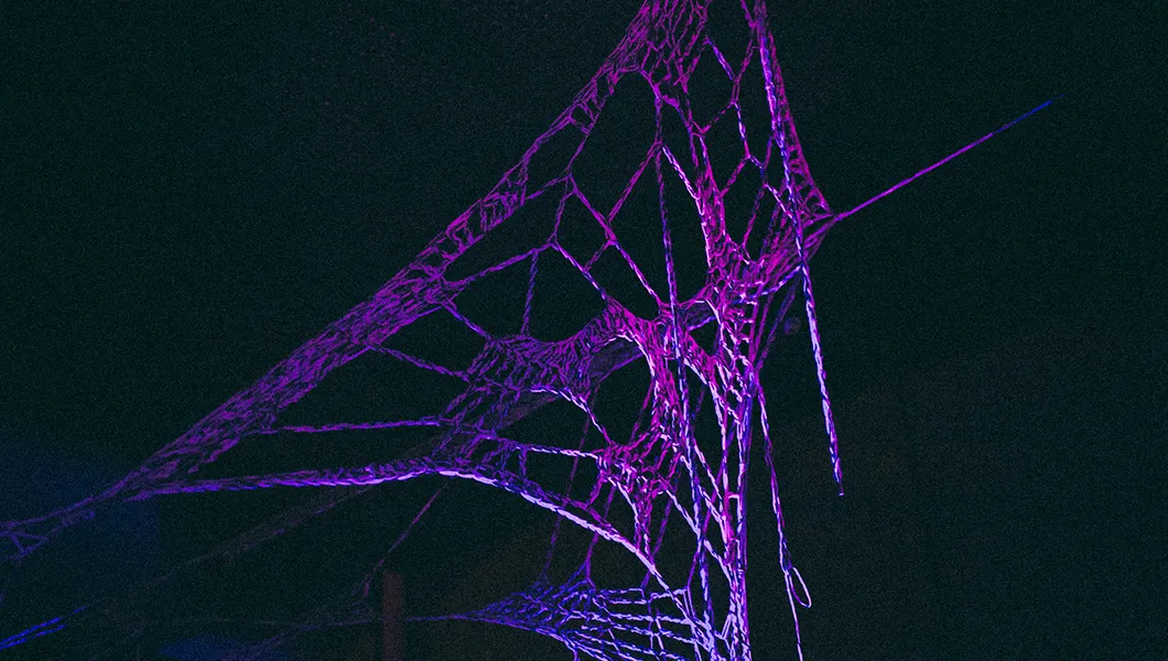 Curieux Transfo mène la danse