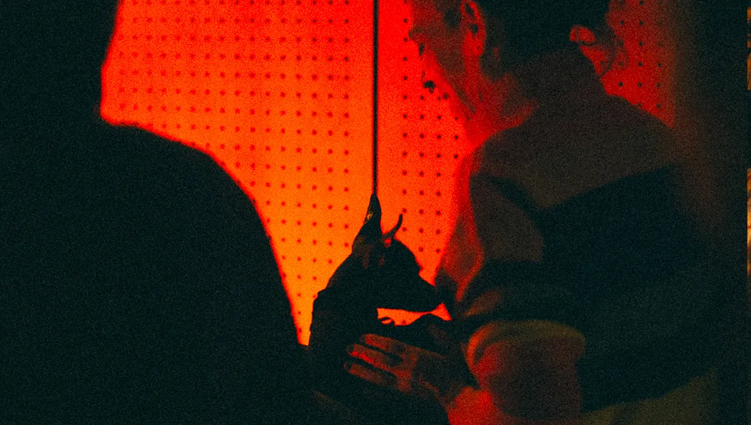 Curieux Transfo traverse les galaxies avec SMITH et Jean-Biche © Romain Guédé