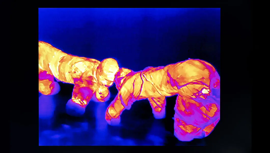 Jenna Marvin, Dogs, 2024 (extrait) © Marc Domage