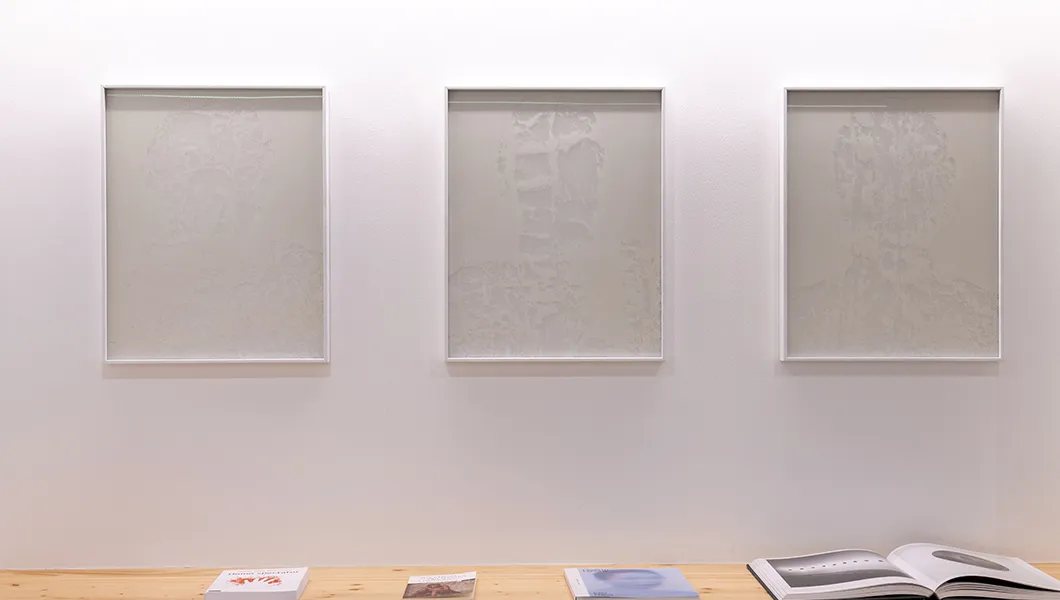 Missingu de Laurent Lafolie