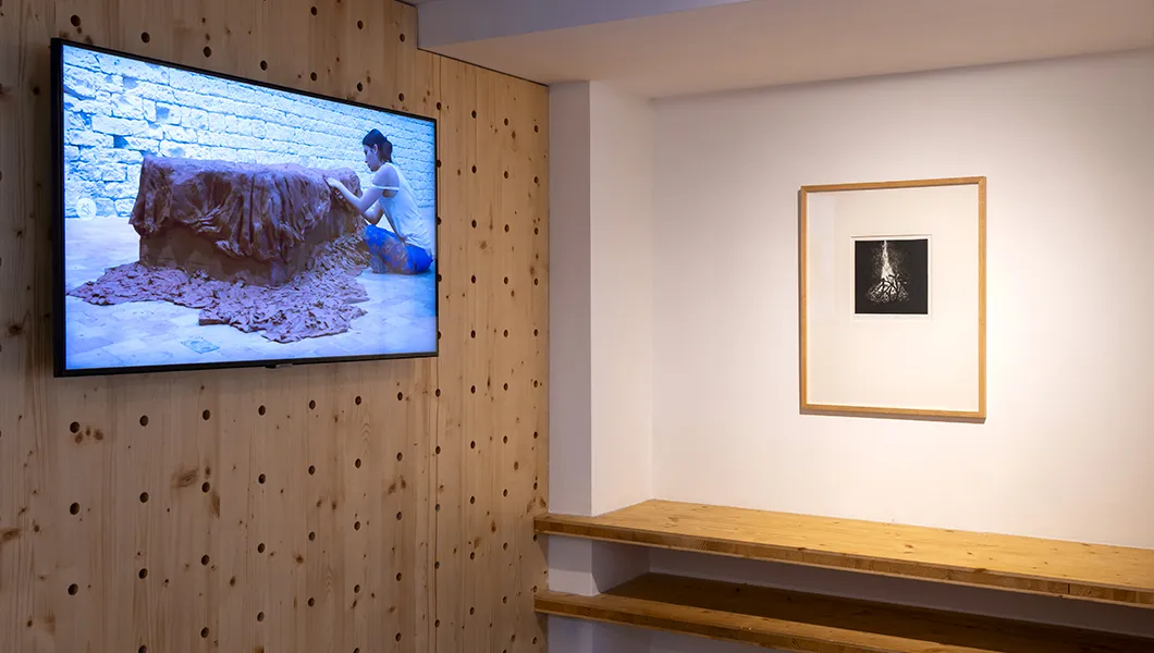 Vue de l'exposition "Territoires du souffle" de Rachel Labastie © Marc Domage 2025
